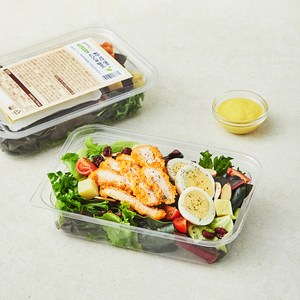 곰곰 골든텐더치킨 시그니쳐 샐러드, 250g, 1개