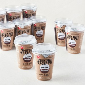 강릉커피 서울우유 듀얼브루 아인슈페너, 250ml, 10개