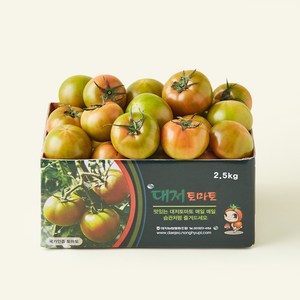 대저 토마토(2S~M), 2.5kg, 1개