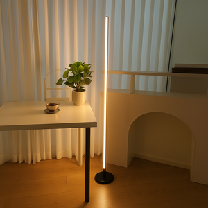 레나에너지 슬림 플로어 장스탠드