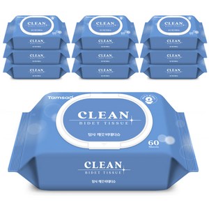 탐사 깨끗 비데티슈 캡형, 60매, 10개