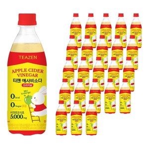 티젠 애사비소다 오리지널, 500ml, 24개
