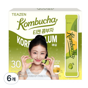 티젠 콤부차 매실