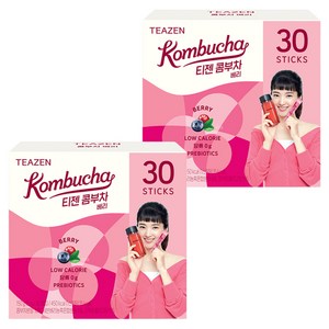 티젠 콤부차 베리