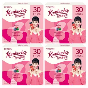 티젠 콤부차 베리