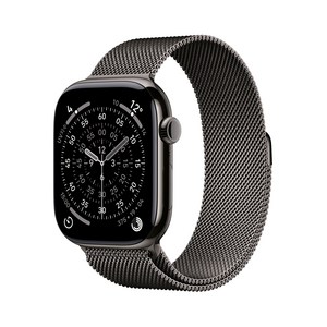 Apple 2025 애플워치 11