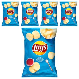 레이즈 솔트 앤 비네거 감자칩, 184.2g, 5개