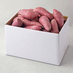 해남 꿀고구마, 5kg, 1개