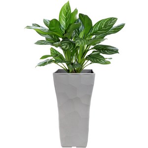 화분월드 인테리어 플라스틱 리버스톤 화분, 네추럴그레이, 1개