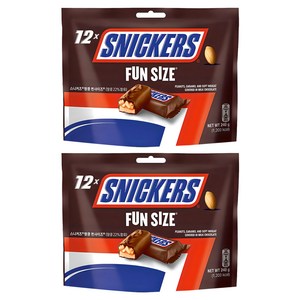 스니커즈 펀사이즈 초콜릿, 20g, 24개