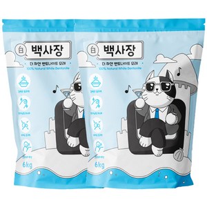 백사장 고양이 모래 벤토나이트, 6kg, 2개, 무향