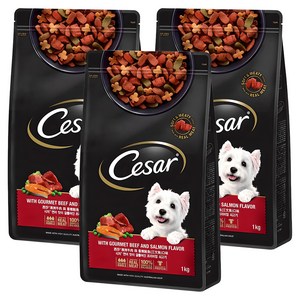 시저 어덜트 강아지 건식사료, 소, 1kg, 3개