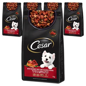 시저 어덜트 강아지 건식사료, 소, 1kg, 5개