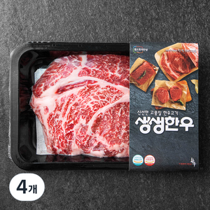생생한우 1등급 숙성등심 구이용 (냉장), 200g, 4개