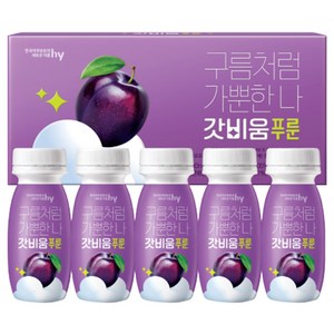 갓비움 푸룬 유산균 프리바이오틱스, 100ml, 5개
