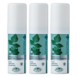 덴티스테 브레스 구강스프레이, 15ml, 3개