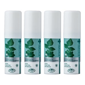 덴티스테 브레스 구강스프레이, 15ml, 4개