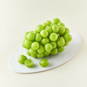 다조은 비파괴당도선별 샤인머스캣, 1kg, 1개