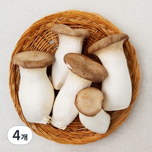 친환경 뿌리가 손질된 새송이버섯, 400g, 4개