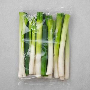 국내산 절단대파, 1kg, 1개