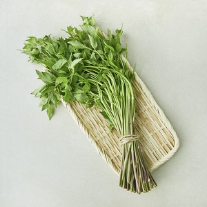 국내산 미나리, 200g, 1개