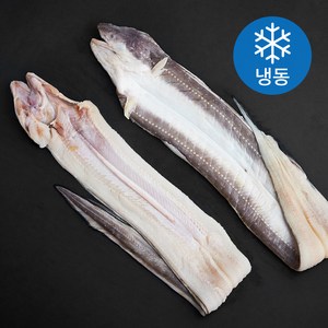 아라장 반건조 바다장어 (냉동), 460g(대, 2마리), 1개