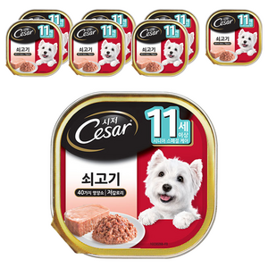 시저 11세 이상 시니어 강아지 주식캔