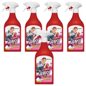 홈스타 맥스프레쉬 뿌리는 곰팡이 싹 세정제, 500ml, 5개