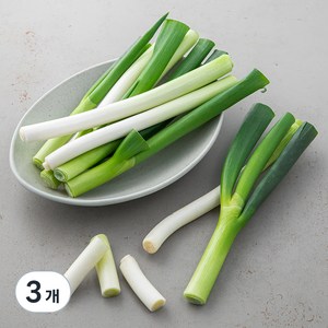 국내산 절단 손질대파, 500g, 3개