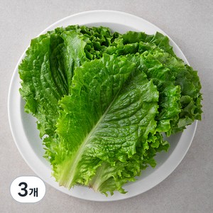 국내산 친환경 청상추, 200g, 3봉