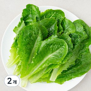 로메인 상추, 200g, 2개