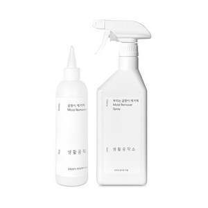 생활공작소 뿌리는 곰팡이 제거제 750ml + 겔 곰팡이 제거제 300ml, 1세트