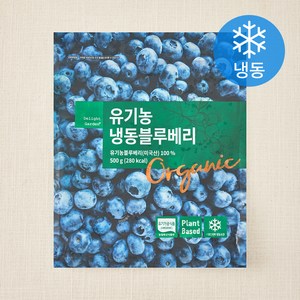 딜라잇가든 유기가공식품 인증 블루베리 (냉동), 500g, 1개