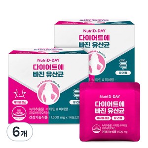 뉴트리디데이 다이어트에 빠진 유산균, 14회분, 6개