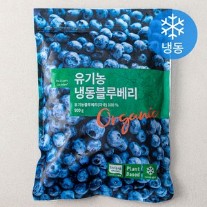 딜라잇가든 유기가공식품 인증 블루베리 (냉동), 900g, 1개