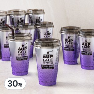 일동후디스 앤업카페 에스프레소 돌체라떼, 30개, 300ml