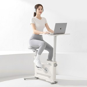 이고진 데스크 바이크 세트