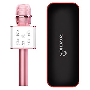 로이체 무선 블루투스 마이크 + 파우치