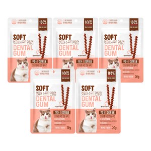 캣퓨어 고양이 소프트 덴탈껌, 20g, 구강 장건강에 도움, 5개