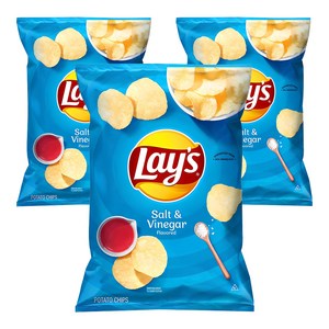 레이즈 솔트 앤 비네거 감자칩, 184.2g, 3개