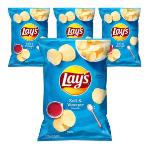 레이즈 솔트 앤 비네거 감자칩, 184.2g, 4개