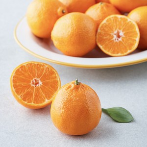 미국산 헤일로스 만다린