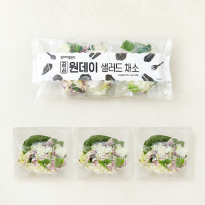 곰곰 원데이 샐러드 채소 3개입, 210g, 1봉