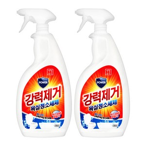 생활공식 강력제거 욕실청소세제, 2개, 600ml