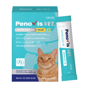 페노비스 벳 고양이 프리미엄 유산균, 60g, 신장, 1개