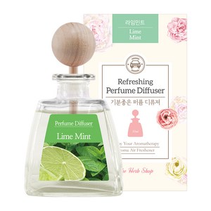 더허브샵 기분좋은 퍼퓸 차량용 디퓨져 50ml 본품, 라임 민트, 1개