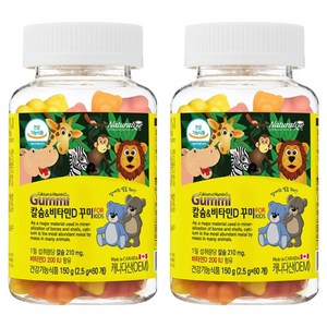 네추럴라이즈 칼슘 앤 비타민D 꾸미, 60정, 2개