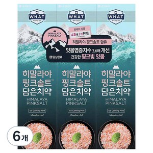 히말라야핑크솔트 담은 치약 아이스 카밍 민트, 100g, 6개
