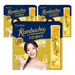 티젠 콤부차 진저레몬