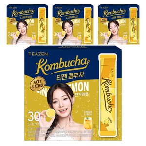 티젠 콤부차 진저레몬